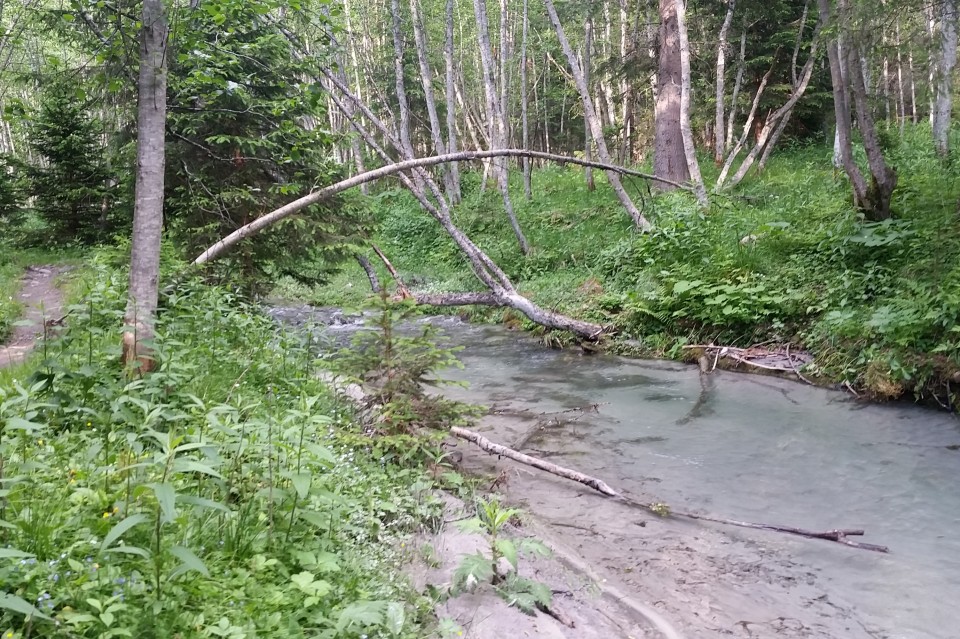 Seebach Seebachtal Seebach Seebachtal